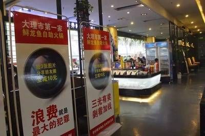 大理白族自治州龙鱼专卖店：大理白族自治州水族店 全国观赏鱼市场 第3张