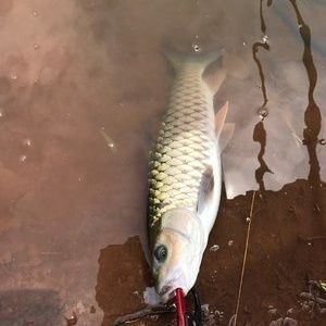 水族馆名称大全500种：全球500个著名水族馆及其特色 水族馆百科（水族馆加盟） 第3张