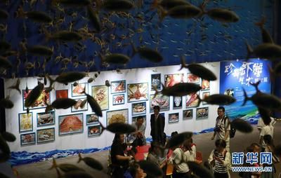 水族馆属于什么分类：极地海洋世界特色展览,水族馆科研项目案例分析 水族馆百科（水族馆加盟） 第5张