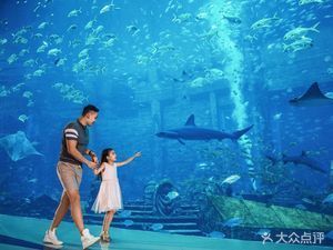 亚特兰蒂斯水族馆游记：三亚亚特兰蒂斯水族馆是一处集海洋生物展示与一体的旅游景点