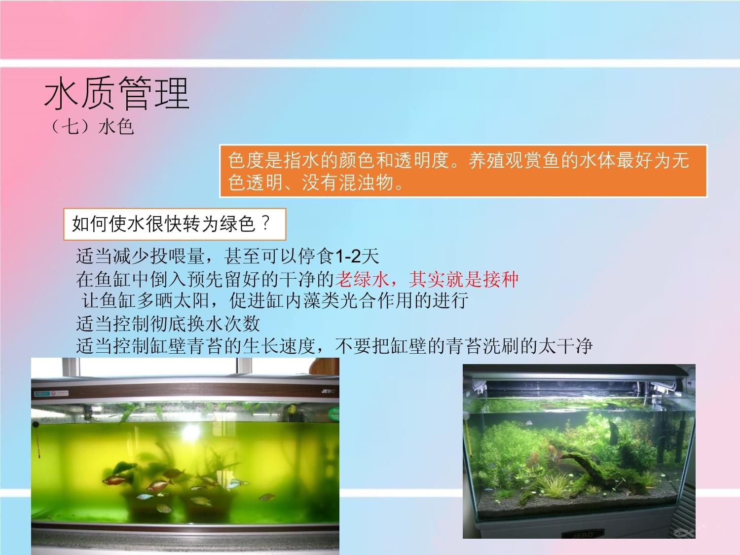 观赏鱼水质检测指南：观赏鱼水质检测方法 观赏鱼百科 第4张