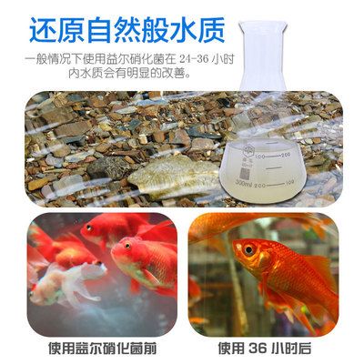 观赏鱼水质检测指南：观赏鱼水质检测方法 观赏鱼百科 第5张