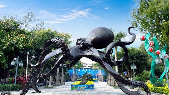 厦门水族馆：厦门海底世界旅游攻略 全国观赏鱼市场 第1张