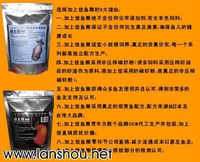 观赏鱼饲料添加剂选择指南：观赏鱼饲料添加剂效果对比观赏鱼饲料添加剂选择指南 观赏鱼百科 第3张