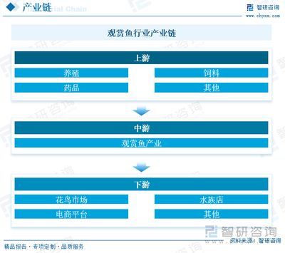 观赏鱼饲料添加剂选择指南：观赏鱼饲料添加剂效果对比观赏鱼饲料添加剂选择指南 观赏鱼百科 第4张