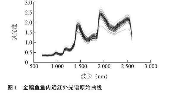 金龙鱼食物新鲜度判断技巧：如何挑选活体金龙鱼 金龙鱼百科 第3张