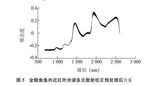 金龙鱼食物新鲜度判断技巧：如何挑选活体金龙鱼 金龙鱼百科 第5张