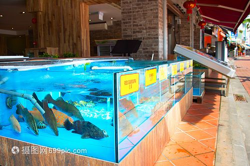 水族馆店铺照片高清：水族馆店铺高清照片 水族馆百科（水族馆加盟） 第4张