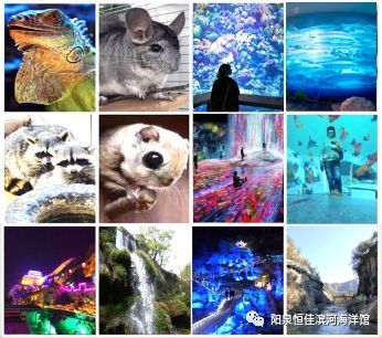 阳泉水族馆：阳泉市城区爱上鱼水族馆 全国观赏鱼市场 第2张