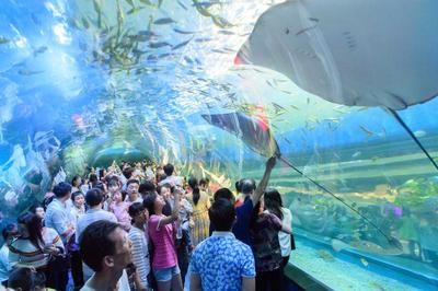 益阳水族馆：益阳市朝阳滨辉水族馆 全国观赏鱼市场 第3张