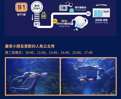 水族馆主要经营什么产品：水族馆主要经营产品 水族馆百科（水族馆加盟） 第4张