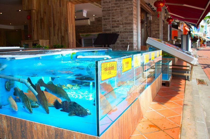 水族馆餐厅造价多少钱：水族馆餐厅的造价因多种因素而不同 水族馆百科（水族馆加盟） 第5张