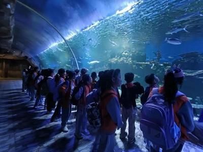 灞桥区水族馆：灞桥区观赏鱼批发市场 全国观赏鱼市场 第2张