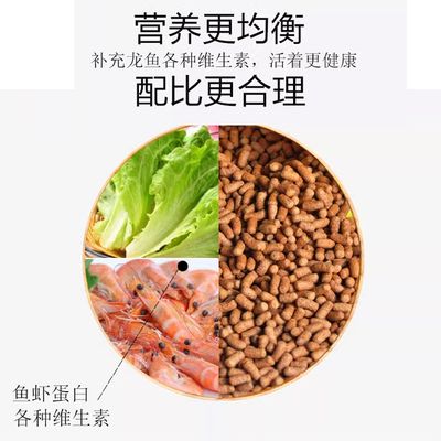 金龙鱼饲料动物蛋白含量：金龙鱼饲料中动物性蛋白含量的研究 金龙鱼百科 第5张