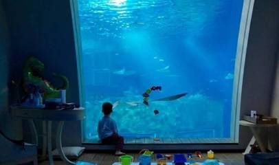 开一间水族馆大概要多少钱人民币呢：开设一家水族馆的成本 水族馆百科（水族馆加盟） 第2张