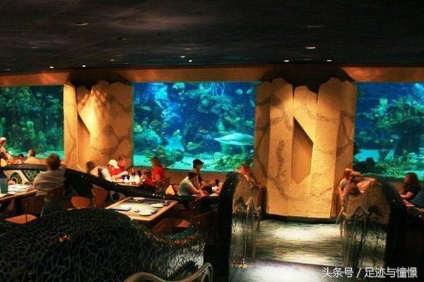 中国最大的水族馆是哪个：中国最大的水族馆是长隆海洋王国 水族馆百科（水族馆加盟） 第2张