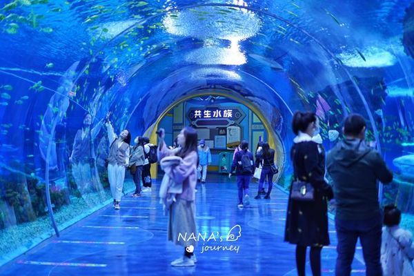 水族馆哪个地方的好玩：全球著名的水族馆 水族馆百科（水族馆加盟） 第1张