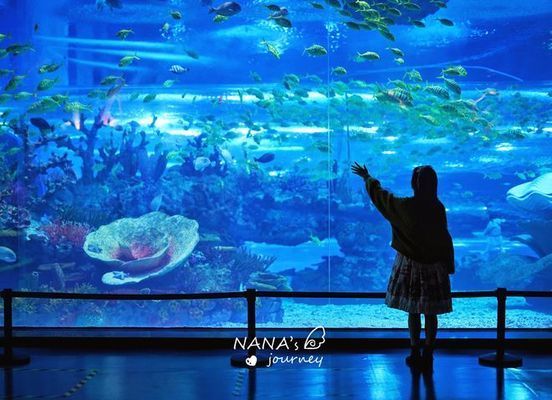 水族馆哪个地方的好玩：全球著名的水族馆 水族馆百科（水族馆加盟） 第3张