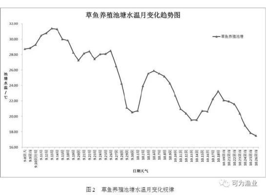 好养的龙鱼品种有哪些：养龙鱼的注意事项 水族问答 第2张