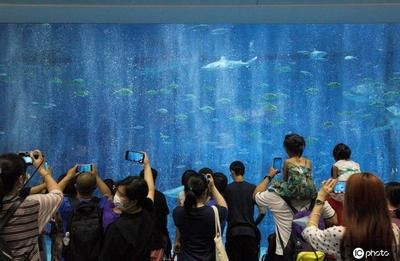 水族馆开馆时间是几点：上海水族馆开放时间 水族馆百科（水族馆加盟） 第5张