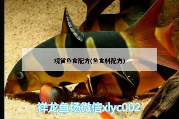 水族馆经营范围有哪些市场监管容易查下：水族馆公司的经营范围 水族馆百科（水族馆加盟） 第1张