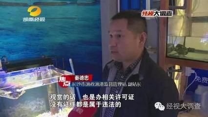 水族馆办营业执照属于哪一类行业：开设水族馆除了必要的营业执照外 水族馆百科（水族馆加盟） 第5张