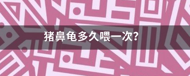 猪鼻龟多久会饿死：猪鼻龟换地方不吃食能饿死吗 猪鼻龟百科 第5张