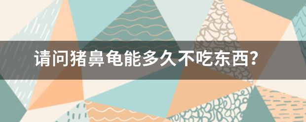 猪鼻龟多久会饿死：猪鼻龟换地方不吃食能饿死吗 猪鼻龟百科 第6张