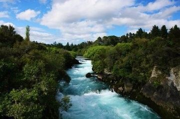 观赏鱼硬度调节方案：珊瑚砂对水质有何影响