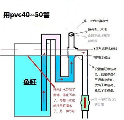 鱼缸操作流程：鱼缸操作流程主要包括以下几个步骤 鱼缸百科 第5张