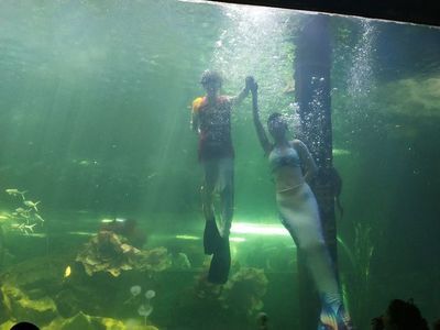 洛阳水族馆：洛阳旅游攻略洛阳龙门海洋馆 全国观赏鱼市场 第3张