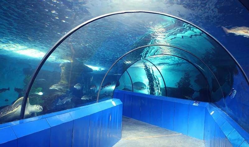 洛阳水族馆：洛阳旅游攻略洛阳龙门海洋馆