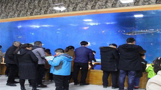 洛阳水族馆：洛阳旅游攻略洛阳龙门海洋馆 全国观赏鱼市场 第4张