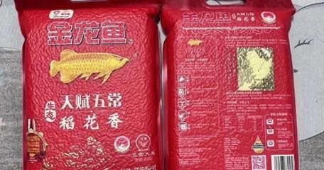 金龙鱼品牌信任度恢复情况：品金龙鱼品牌信任度恢复 金龙鱼百科 第1张