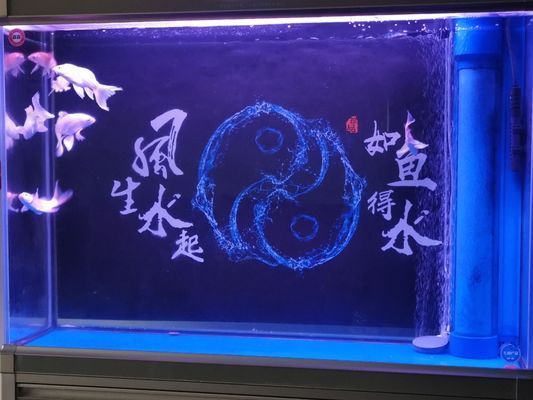 商洛水族批发市场：商洛水族批发市场商洛水族批发市场观赏鱼批发市场 全国观赏鱼市场 第3张