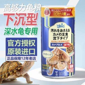 猪鼻龟活体：猪鼻龟的养殖技术 猪鼻龟百科 第5张