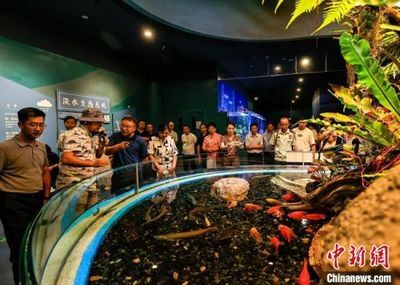 水族馆的优势：水族馆在教育、娱乐、商业、科技和保护等多个领域都展现出显著的优势 水族馆百科（水族馆加盟） 第4张