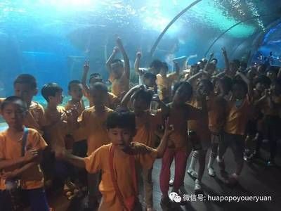 开个水族馆的艰难生活视频：关于开个水族馆的艰难生活