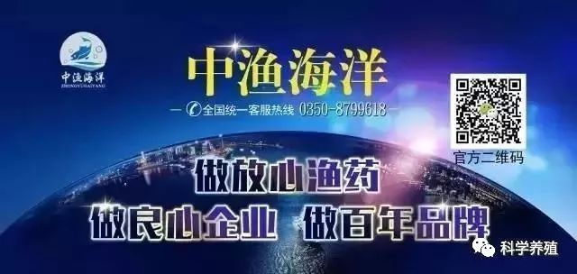 金龙鱼运输前后水质调控：金龙鱼运输前后水质调控方法