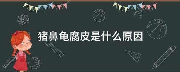 猪鼻龟身上白色腐烂是什么引起的呢图片：猪鼻龟背甲白色腐烂 猪鼻龟百科 第9张