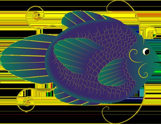 日喀则观赏鱼批发市场：日喀则水族批发市场 全国观赏鱼市场 第11张