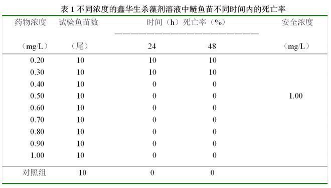 红金龙鱼手机壁纸高清：红金龙鱼手机壁纸