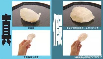 红龙鱼不吃食怎么治：红龙鱼不吃食怎么办 水族问答 第1张