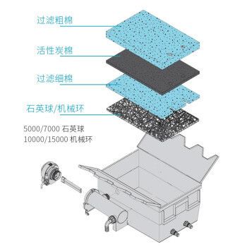 红龙鱼吃干虾行吗：红龙鱼吃干虾会不会造成消化问题？ 水族问答 第2张