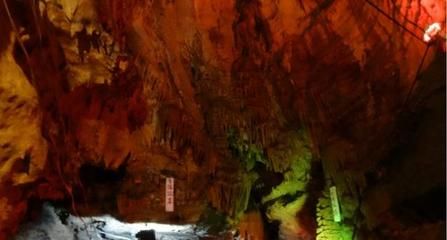 十堰水族馆：十堰旅游攻略之十堰博物馆 全国观赏鱼市场 第3张