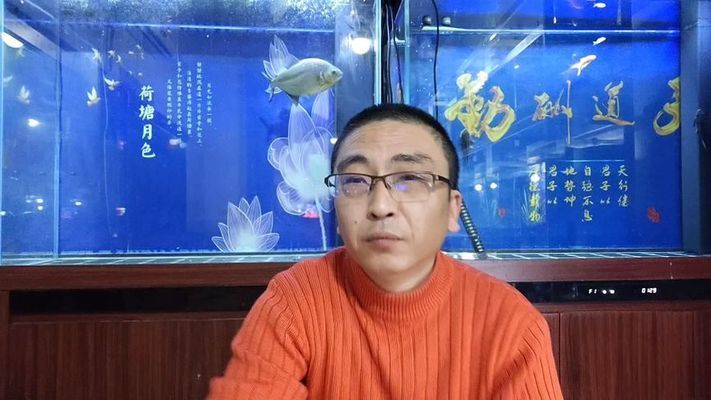 红龙鱼吃啥长膘快又好养：关于红龙鱼的问题 水族问答