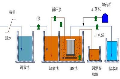 红龙鱼吃什么长得快一点：喂养红龙鱼时，选择合适的食物至关重要 水族问答 第1张