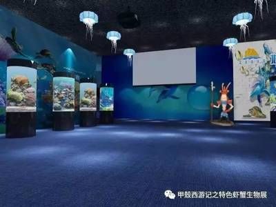 唐山水族馆：厦门旅游必去的十大景点 全国观赏鱼市场 第2张