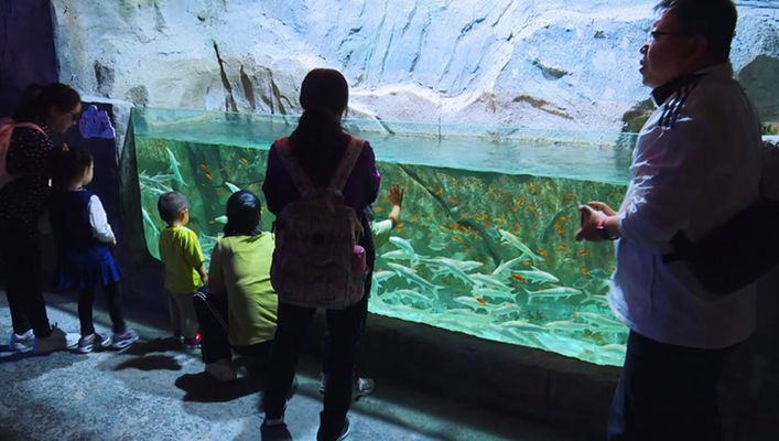 唐山水族馆：厦门旅游必去的十大景点 全国观赏鱼市场 第5张