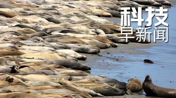 红龙鱼的繁殖方式有哪些：红龙鱼是如何进行繁殖的？ 水族问答 第1张